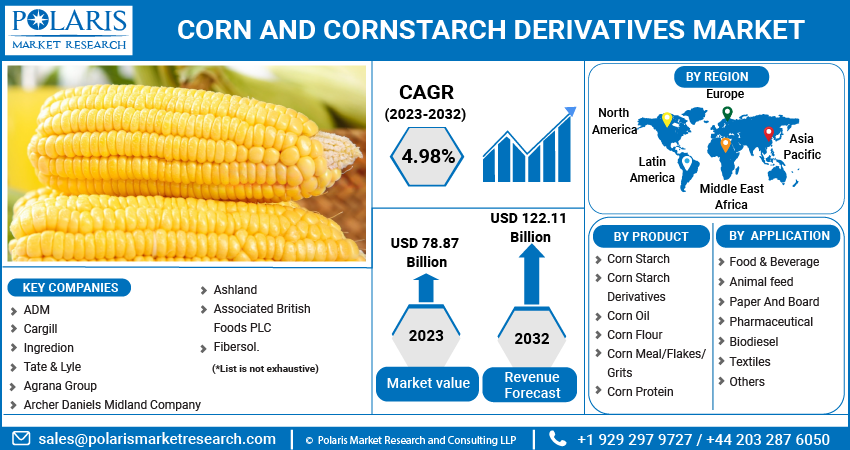 Corn and Corn Starch Derivatives Market Share